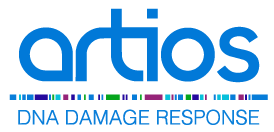 Artios